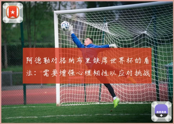 阿德勒对格纳布里缺席世界杯的看法：需要增强心理韧性以应对挑战